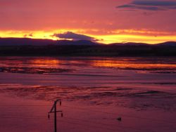 Montrose basin at sunset